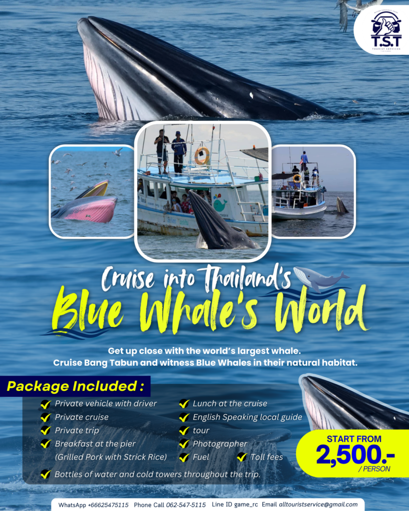 สำเนาของ Package T.S.T (3)