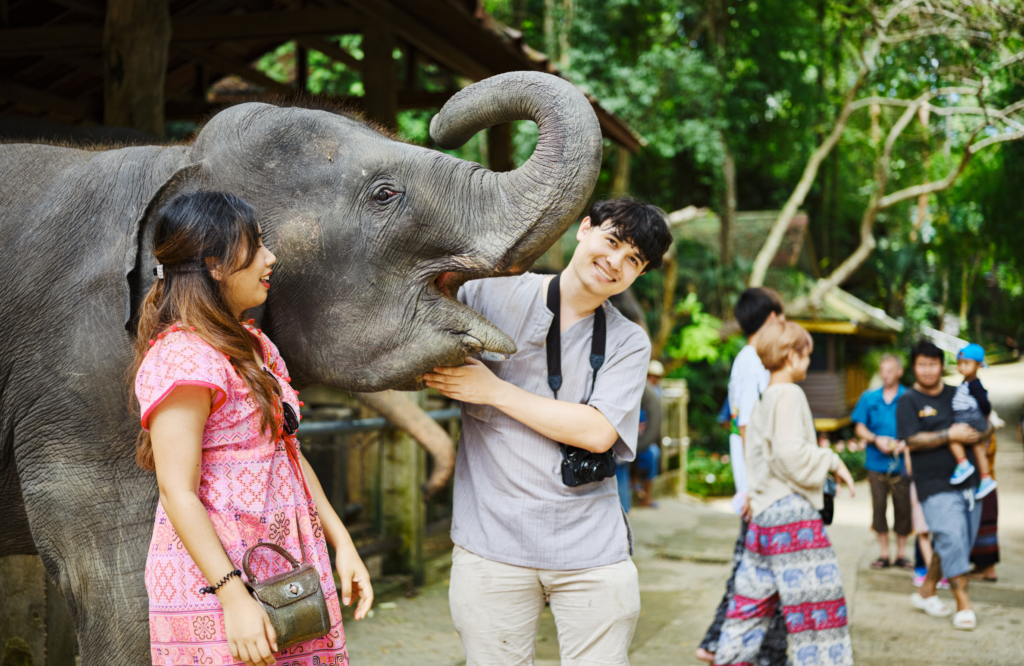 Elephant-Jungle-Sanctuary-Pattaya